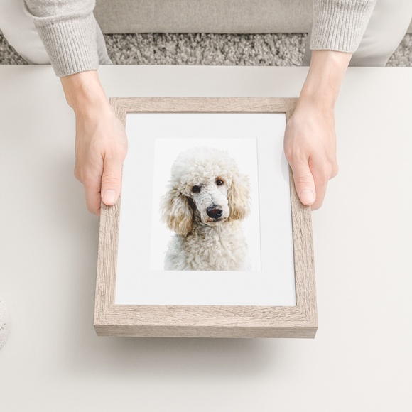 Watercolor Standard White Poodle Wall Art Print Unframed - Elegant Canine Poster - Picture 6 of 7